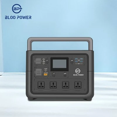 1000 Went elektrane